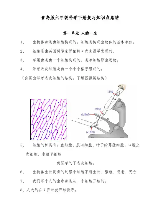 推荐精品小学科学青岛版六年级科学下册全册知识点总结及试题、实验设计