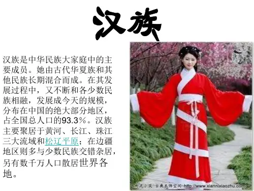 汉族的分布