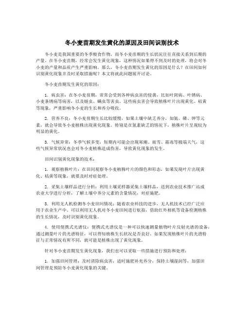 冬小麦苗期发生黄化的原因及田间识别技术