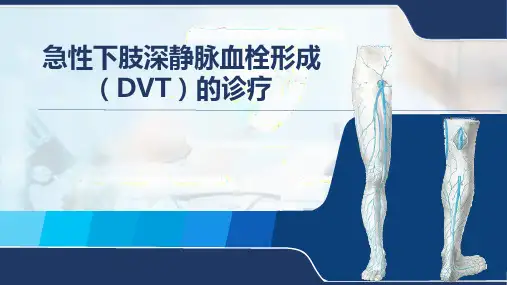 下肢深静脉血栓形成的诊疗