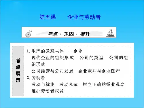 高三政治课堂一轮复习课件2.5企业与劳动者(新人教必修1)