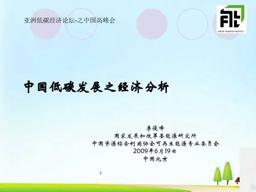 我国低碳发展的经济分析(ppt 51页)