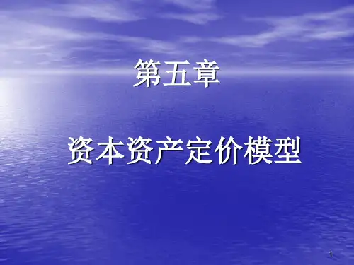 金融工程第五章资本资产定价模型