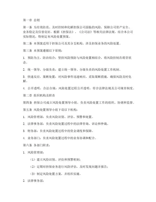 担保公司风险处置预案