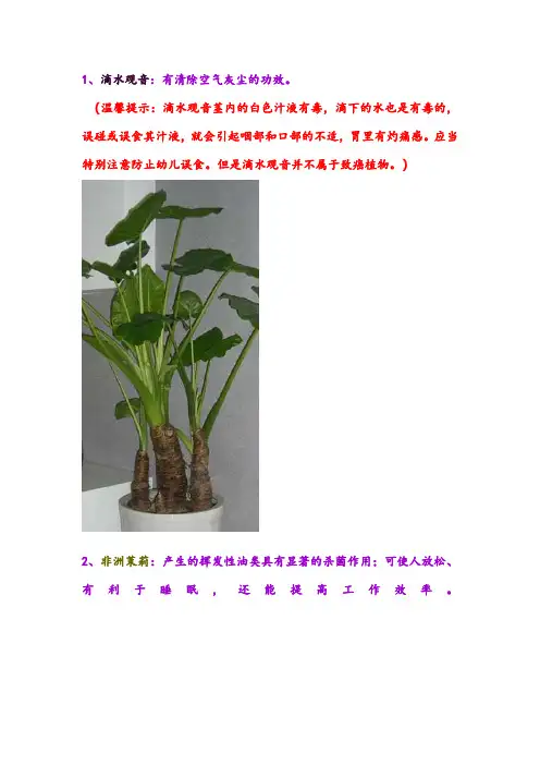 18种室内适宜的植物