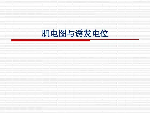 肌电图诱发电位