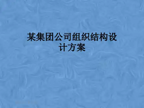 某集团公司组织结构设计方案