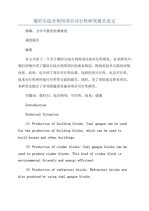 煤矸石综合利用项目可行性研究报告范文