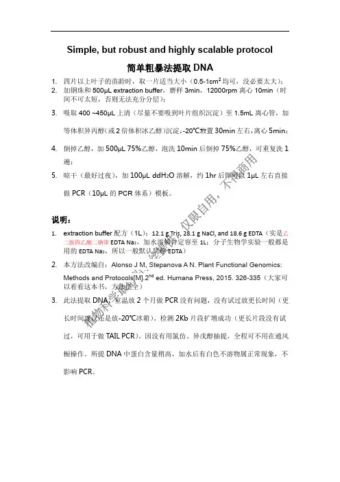 简单粗暴提取拟南芥DNA-1