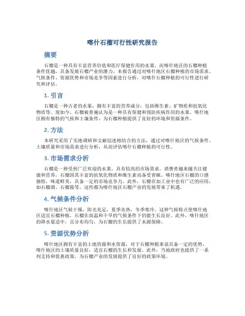 喀什石榴可行性研究报告