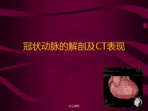 冠状动脉的解剖及CT表现