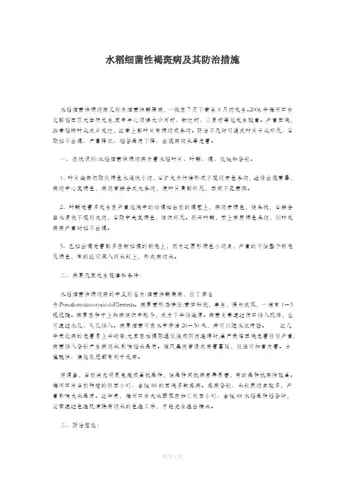 水稻细菌性褐斑病及其防治措施