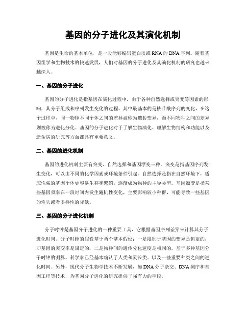基因的分子进化及其演化机制