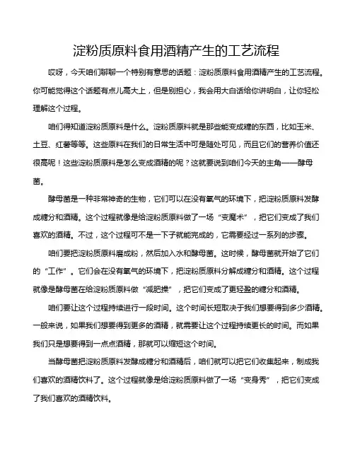 淀粉质原料食用酒精产生的工艺流程