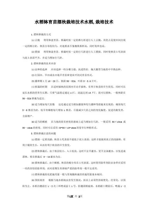 水稻钵育苗摆秧栽培技术水稻,栽培技术