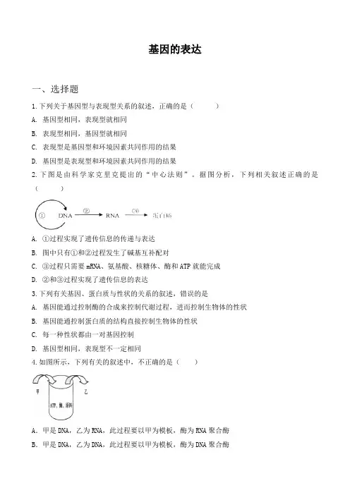 【精编】人教版高中生物必修2  基因的表达 (含答案解析)