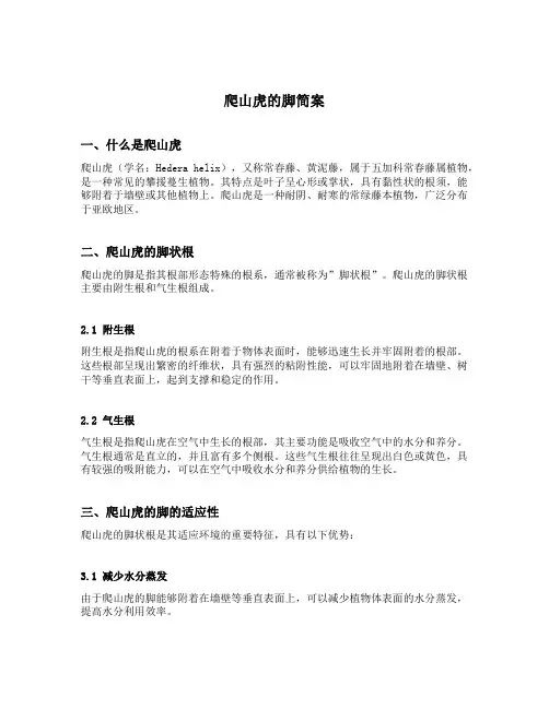 爬山虎的脚简案怎么写