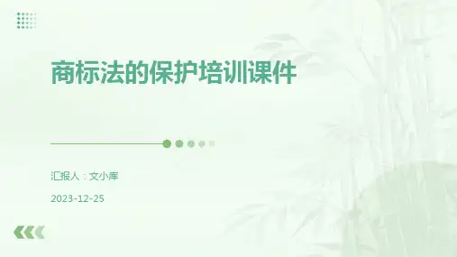 商标法的保护培训课件