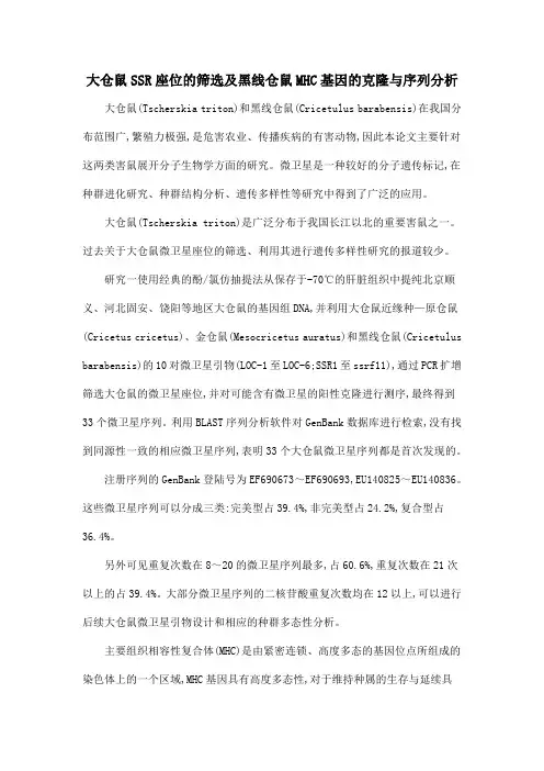 大仓鼠SSR座位的筛选及黑线仓鼠MHC基因的克隆与序列分析