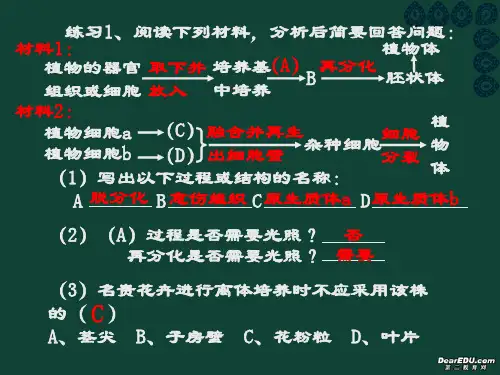 高三生物一轮复习新陈代谢 酶与ATP课件 人教版