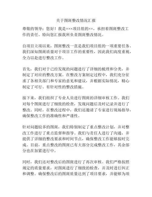 关于图斑整改情况汇报