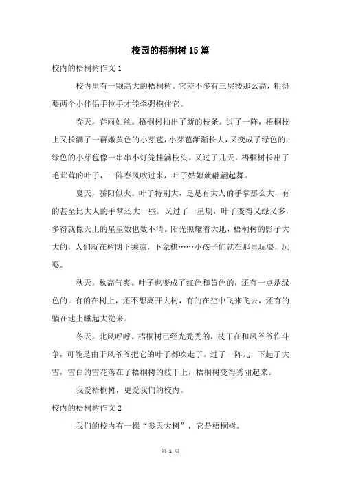 校园的梧桐树15篇