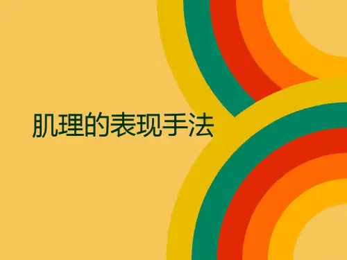 肌理的表现手法PPT课件