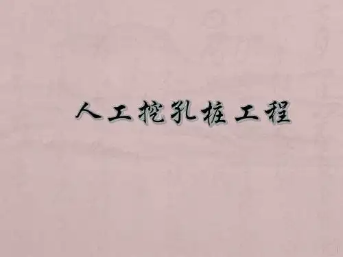 人工挖孔桩工程PPT课件