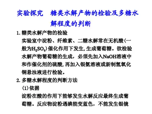 糖类水解产物的检验及多糖水解程度的判断
