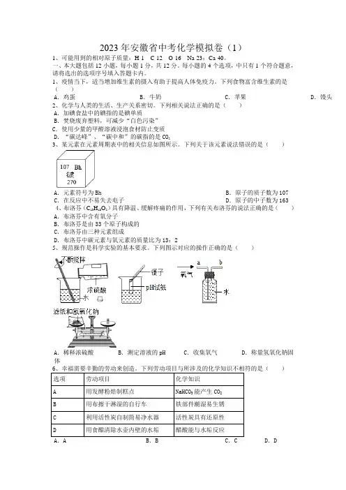 2023年安徽省中考化学模拟卷(1)