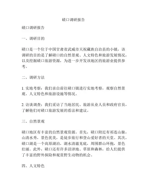 碛口调研报告