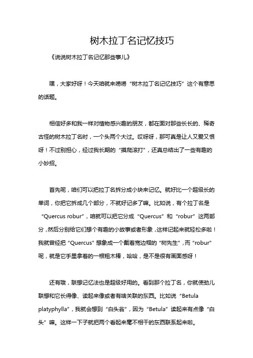 树木拉丁名记忆技巧