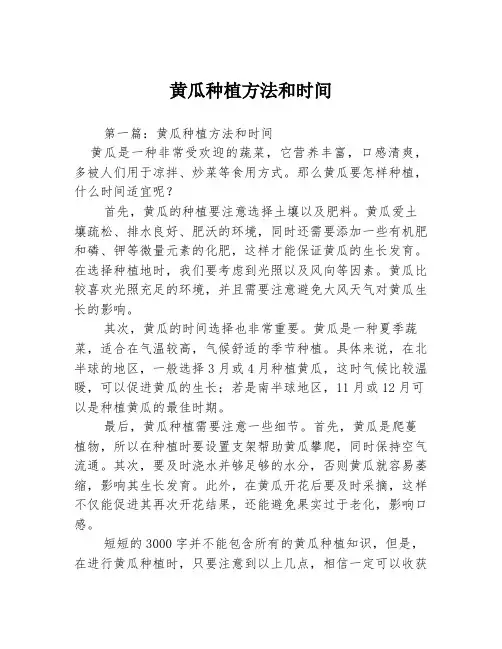 黄瓜种植方法和时间