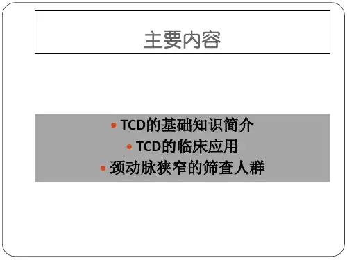 TCD的基础知识及其应用59张课件