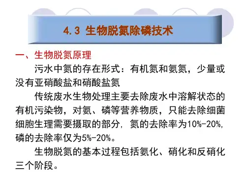 4.3生物脱氮除磷技术
