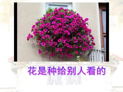 西南师大版三年级语文下册《六单元  28 花是种给别人看的》课件_24