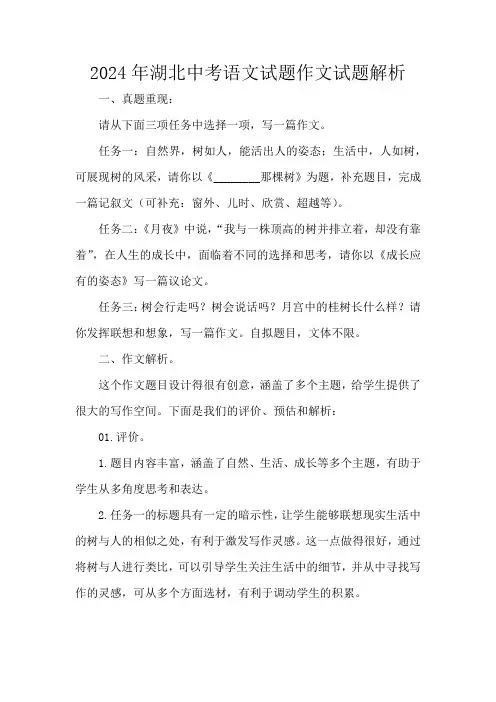 2024年湖北中考语文试题作文试题解析