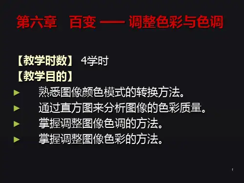 PS第四章 调整色彩与色调PPT课件