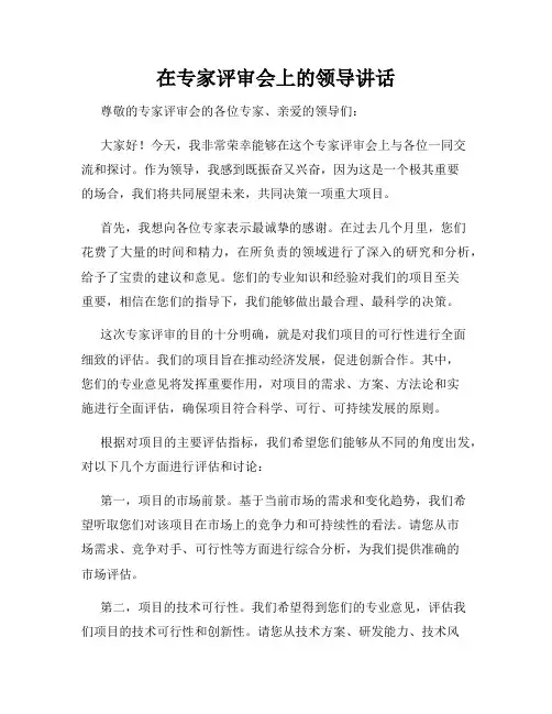 在专家评审会上的领导讲话