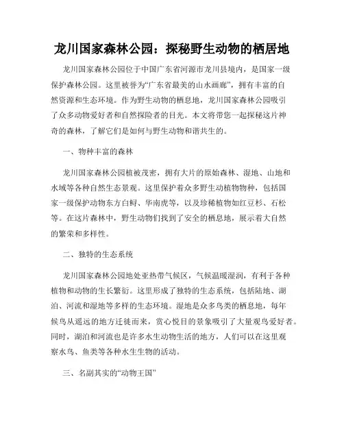 龙川国家森林公园：探秘野生动物的栖居地