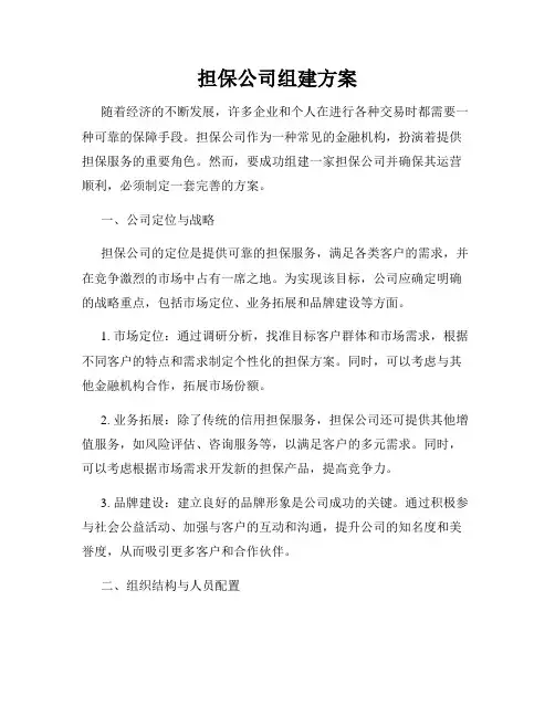 担保公司组建方案