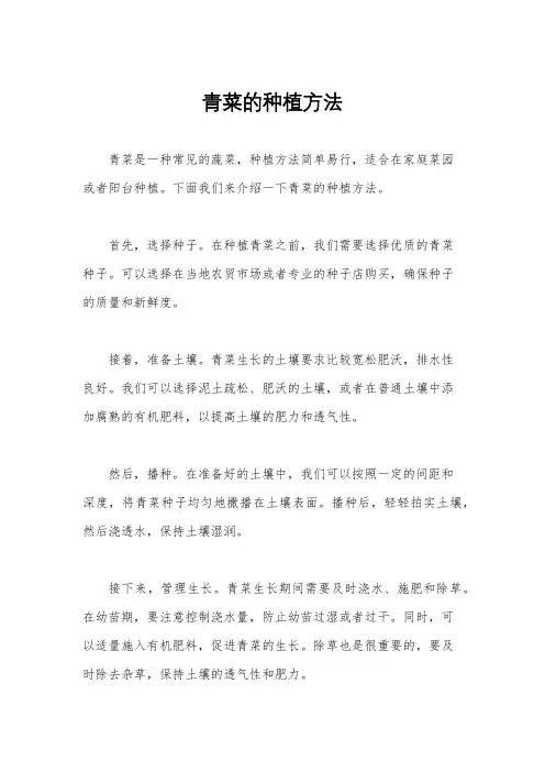青菜的种植方法