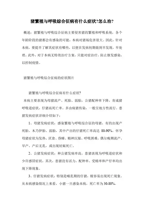 猪繁殖与呼吸综合征病有什么症状-怎么治-.doc