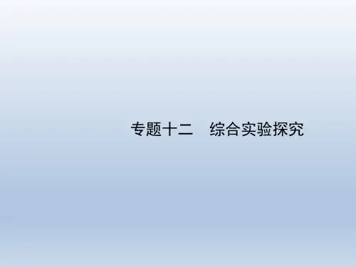 高考化学二轮复习专题12 综合实验探究指导课件