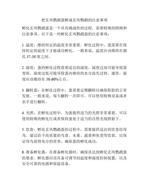把玄凤鹦鹉蛋孵成玄凤鹦鹉的注意事项