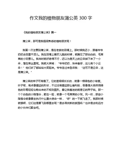 作文我的植物朋友蒲公英300字
