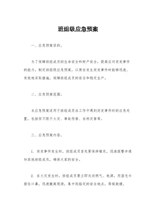 班组级应急预案