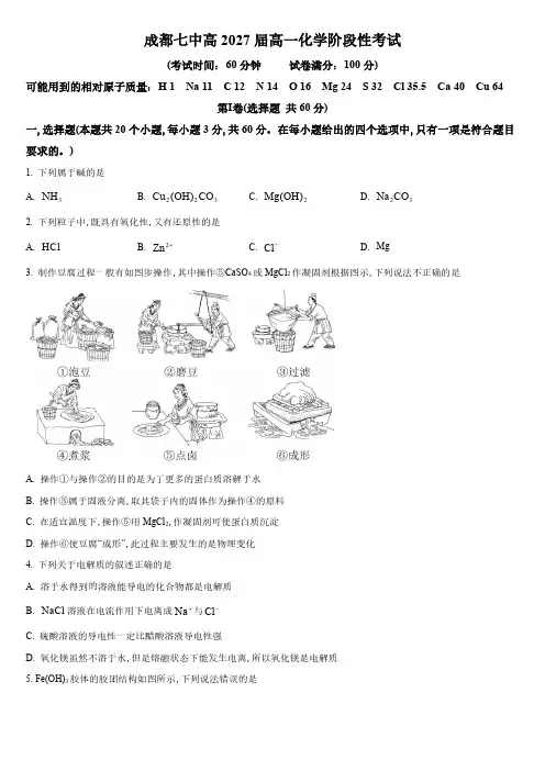 2024-2025学年四川省成都市第七中学高一上学期第一次月考化学试卷含详解