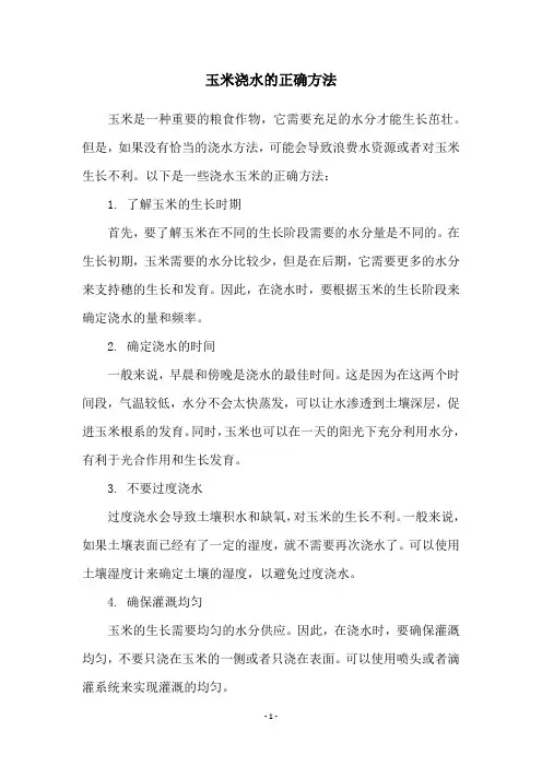 玉米浇水的正确方法