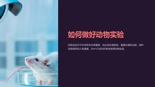 《如何做好动物实验》课件